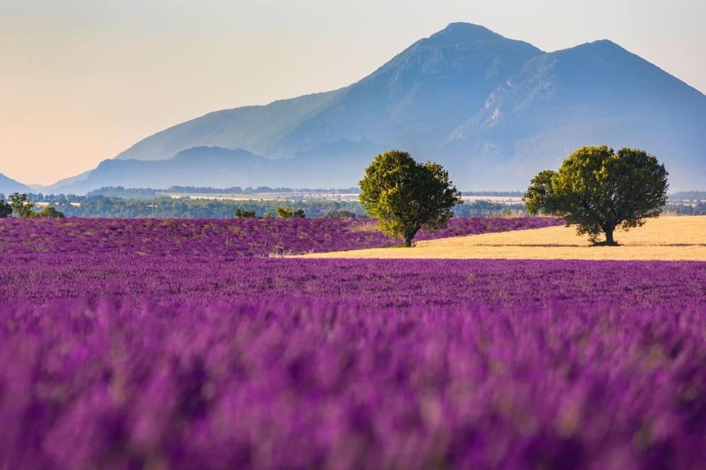 Joli T2 Jardin, Entre Mer/Verdon Salernes Exteriör bild